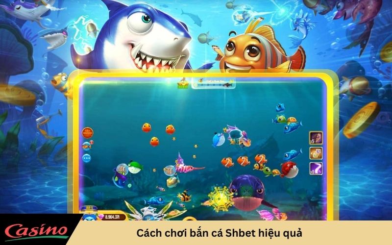 Cách chơi bắn cá Shbet hiệu quả