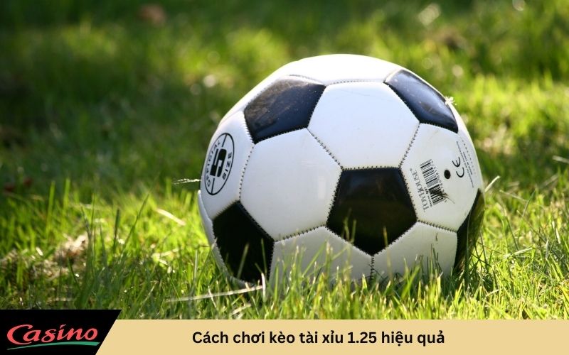 hướng dẫn chơi kèo tài xỉu 1.25 hiệu quả