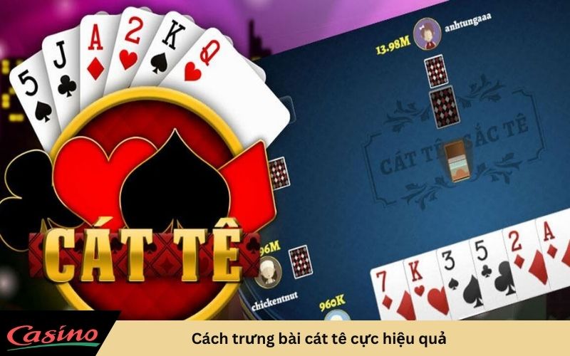 Cách trưng bài cát tê cực hiệu quả