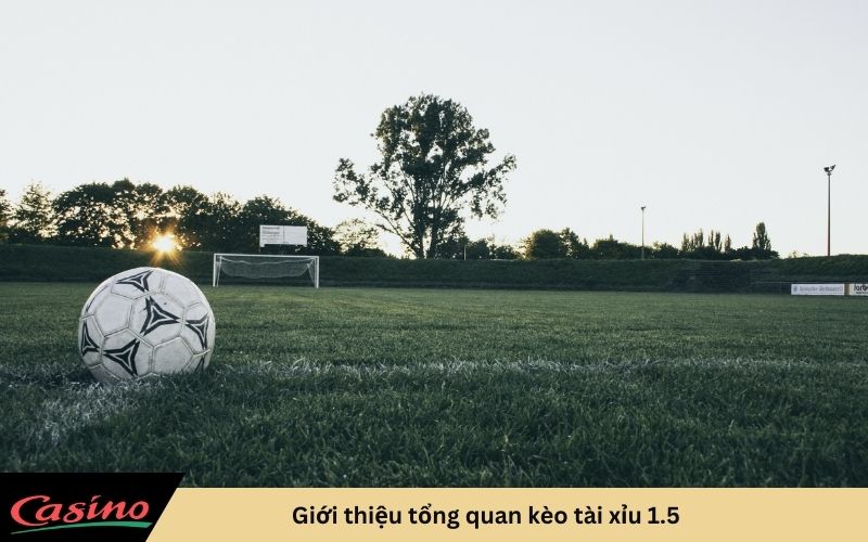 giới thiệu kèo tài xỉu 1.5 cho tân thủ