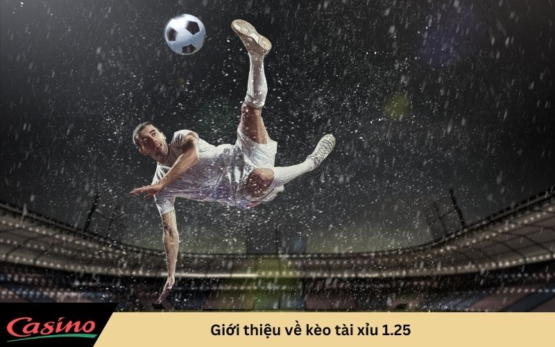 Giới thiệu về kèo tài xỉu 1.25